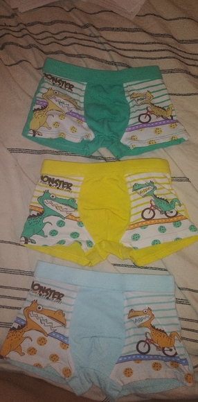 4t boxer briefs - Picture 3 of 4